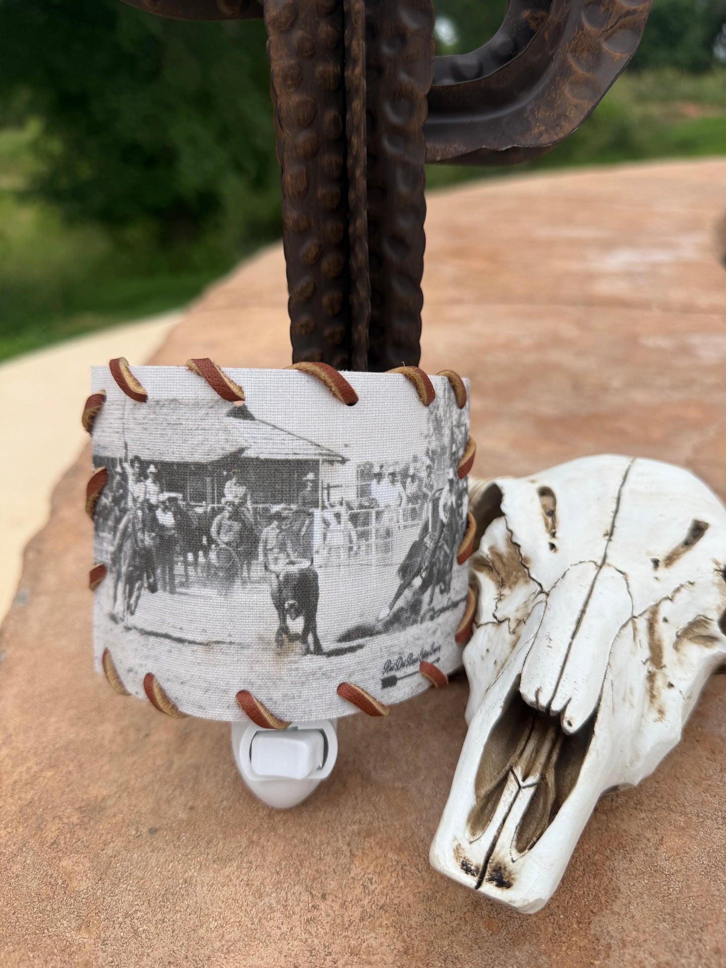 Team Roping Nightlight