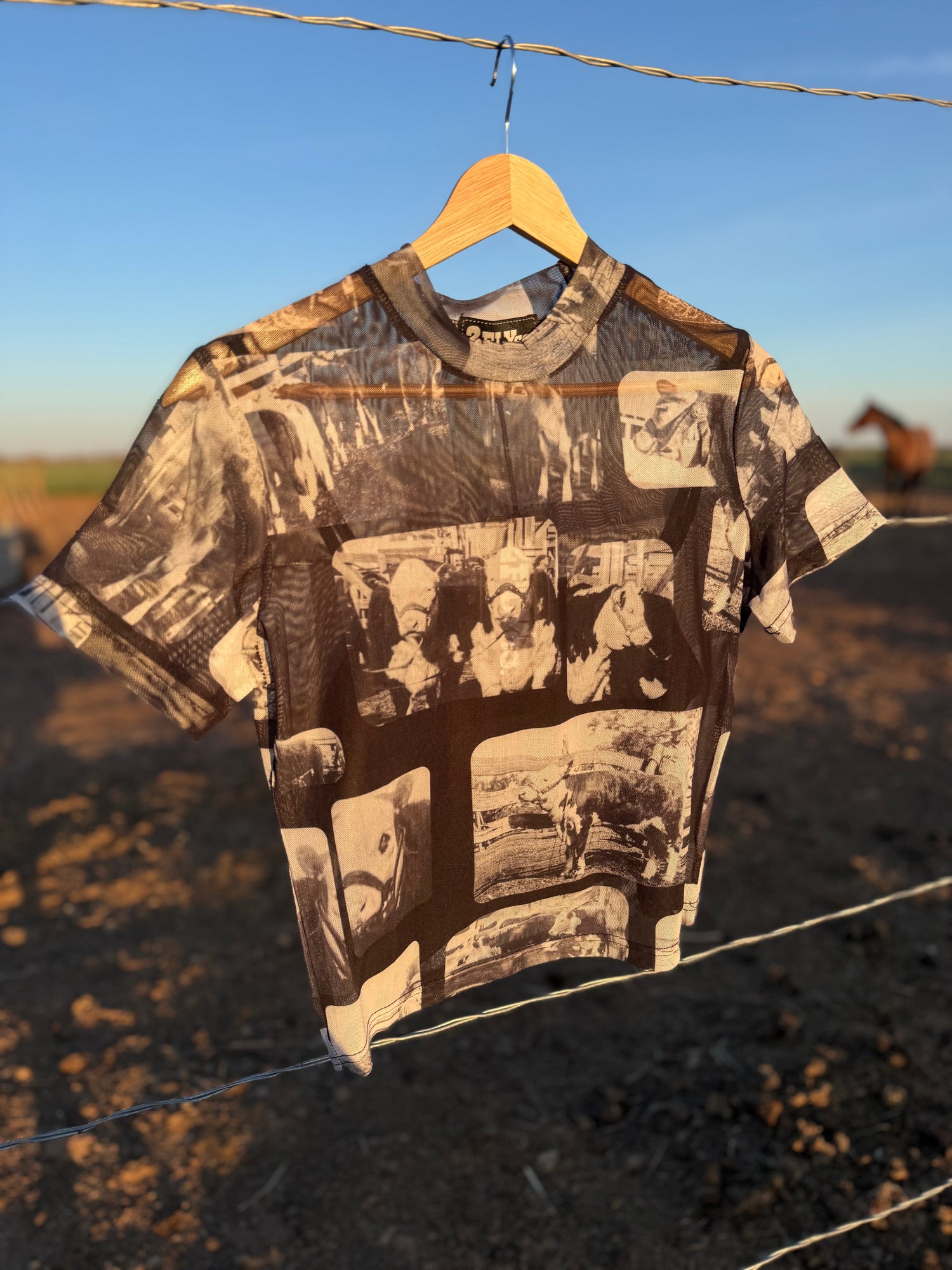 Rank Horse Co’s Anniversary Collection