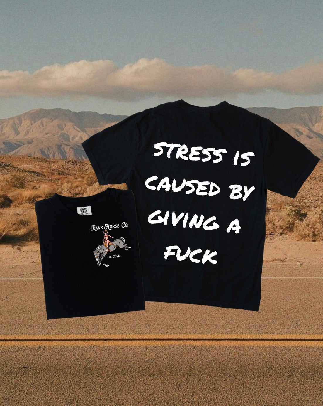 Stress Is Caused By Giving A Fuck Tee • PREORDER