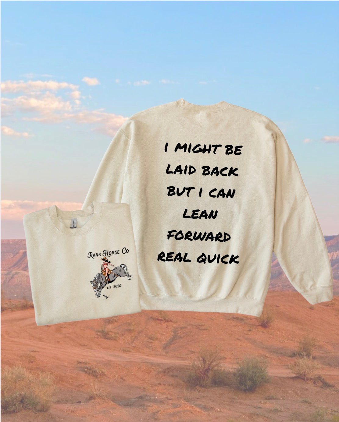 Laid Back Crewneck Sweatshirt • 2 Colors