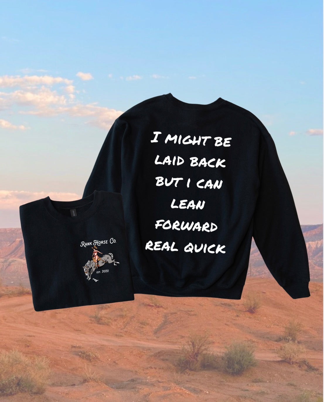 Laid Back Crewneck Sweatshirt • 2 Colors