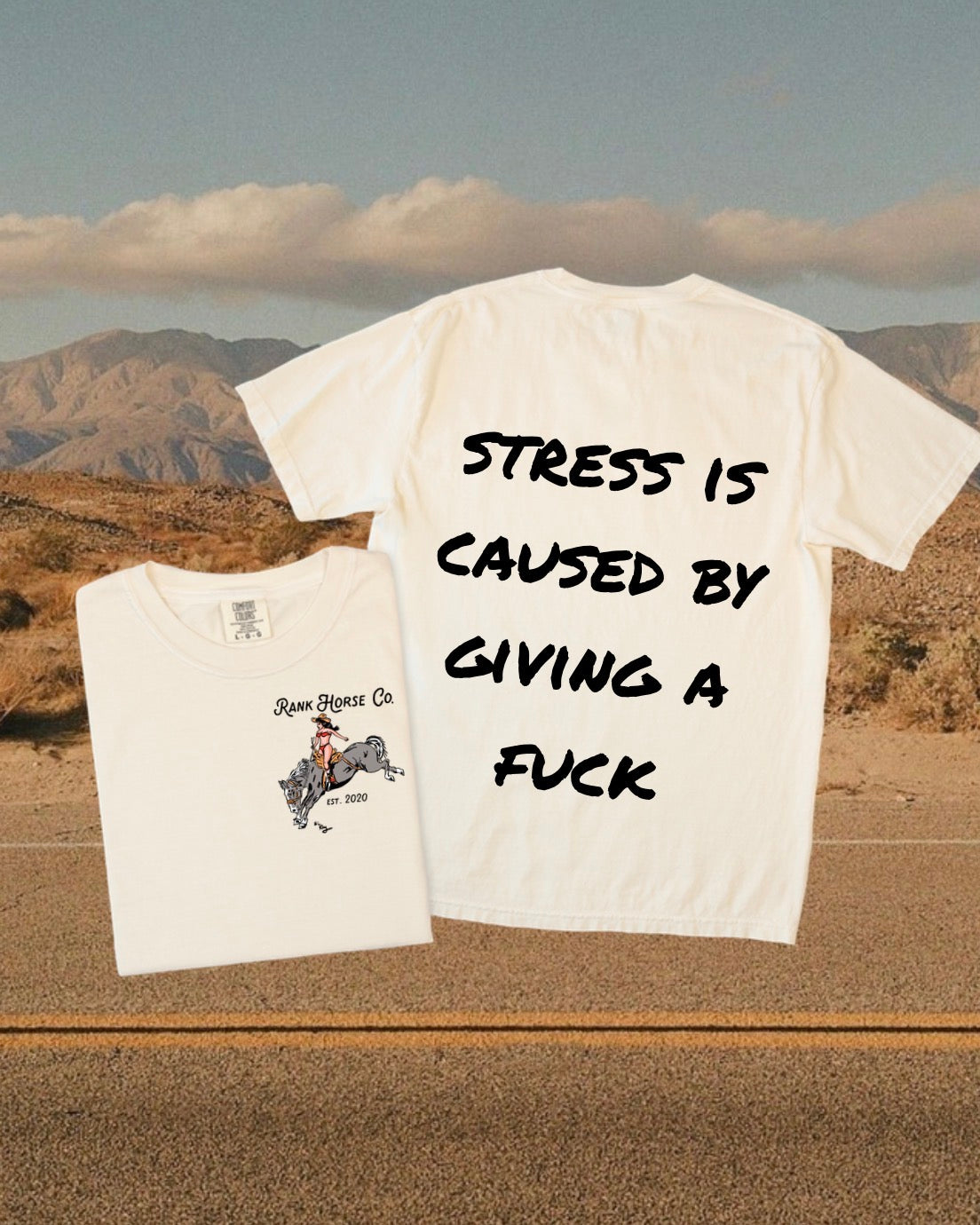 Stress Is Caused By Giving A Fuck Tee • PREORDER