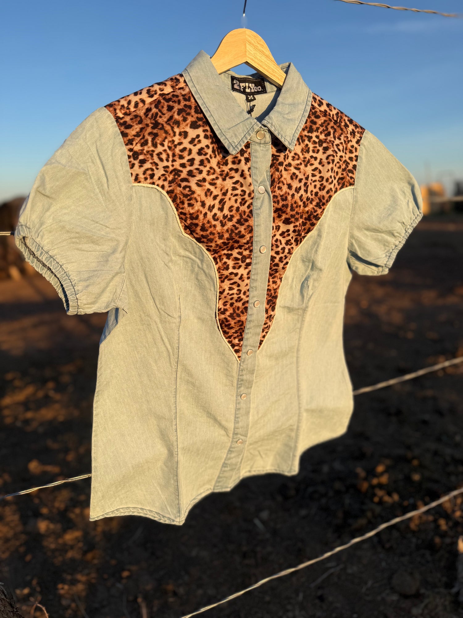 Rank Horse Co’s Anniversary Collection